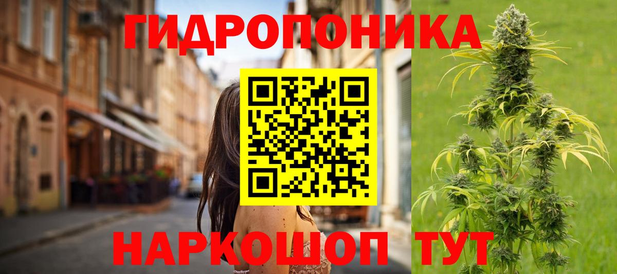 Муром  Канабис план  Вход с VPN  МАРИХУАНА конопля 